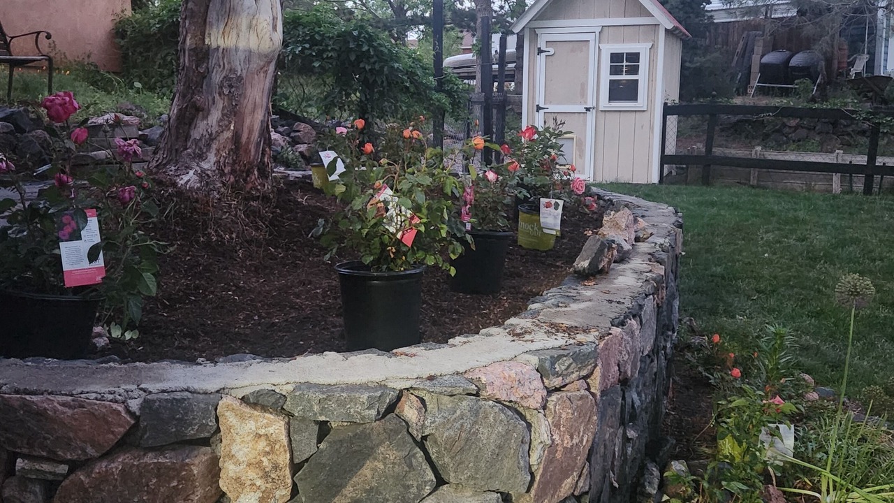 Photo of Outdoor in Ken Caryl