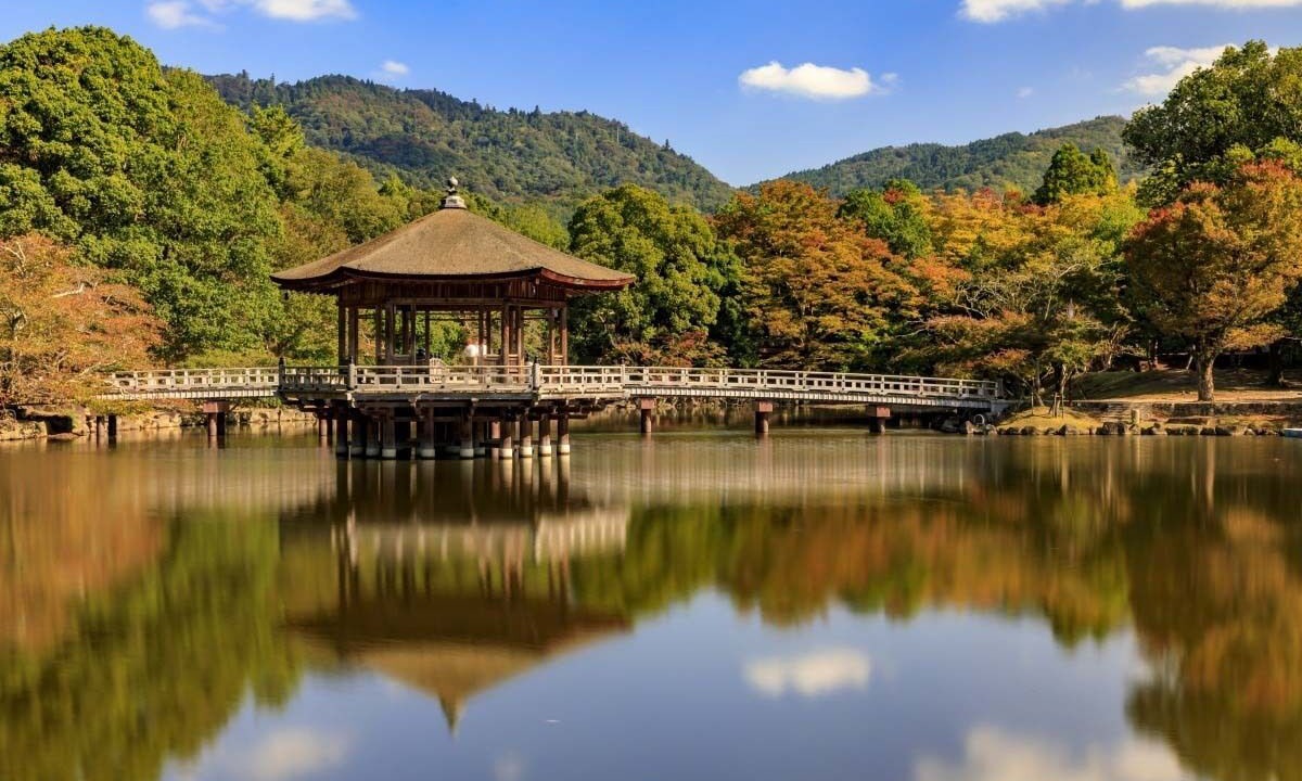 Photo of Others in Nara
