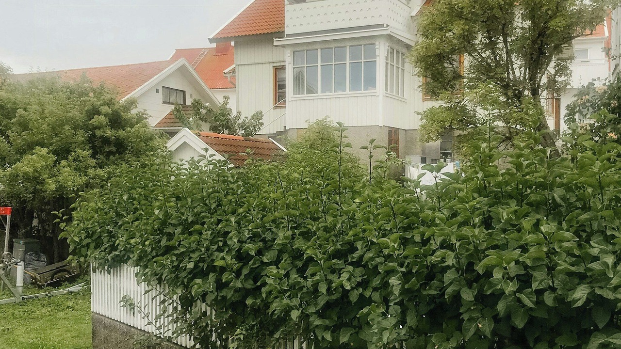 Photo of Outdoor in Roennaeng