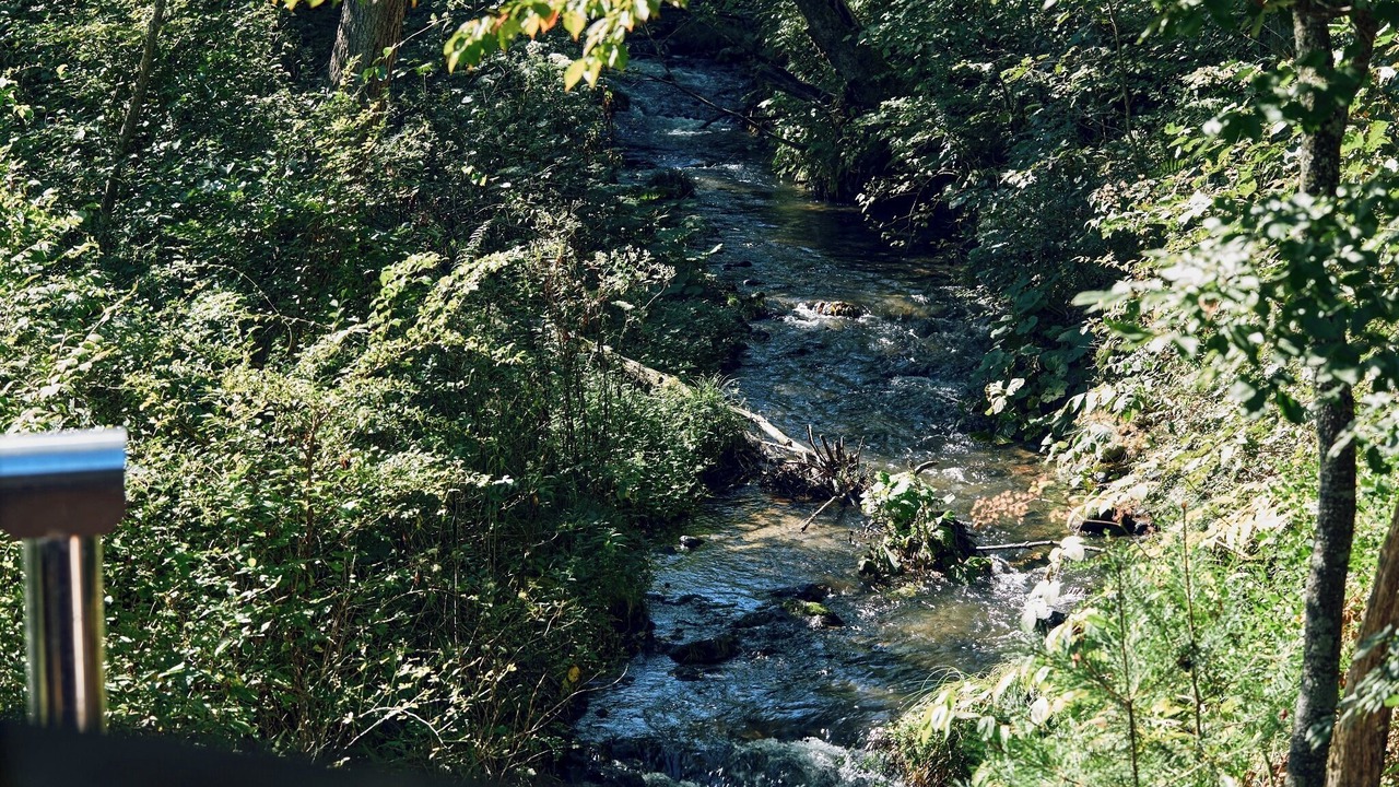 Photo of Others in Tsumagoi