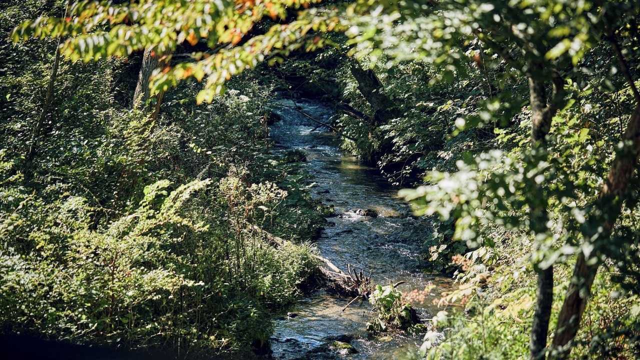 Photo of Others in Tsumagoi