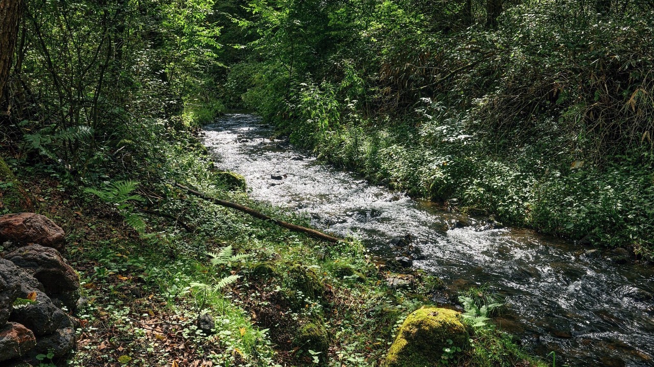 Photo of Others in Tsumagoi