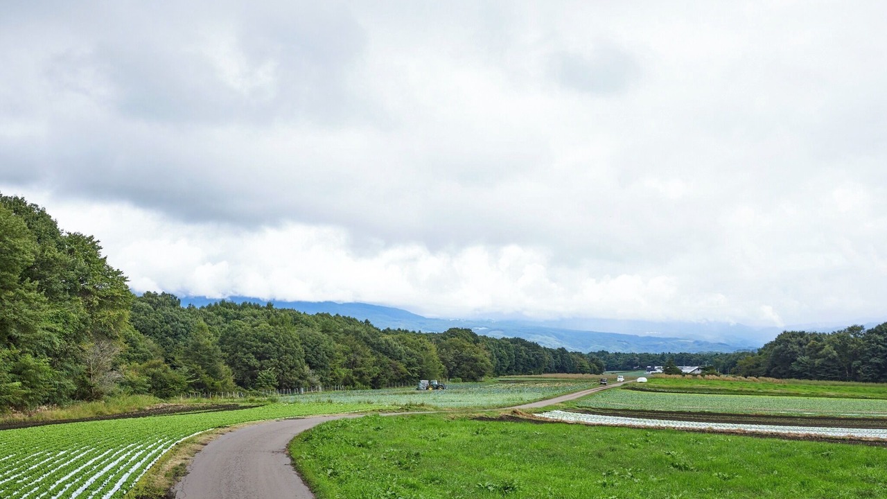 Photo of Others in Tsumagoi