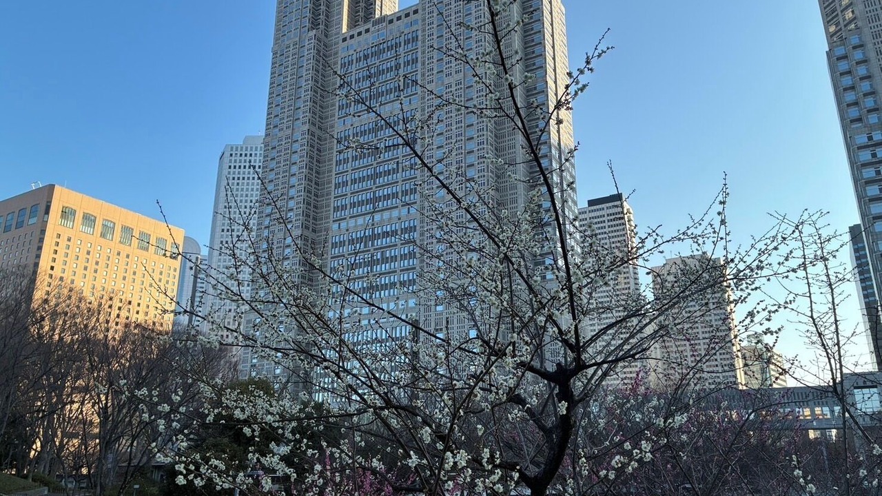 Photo of Others in Honmachi