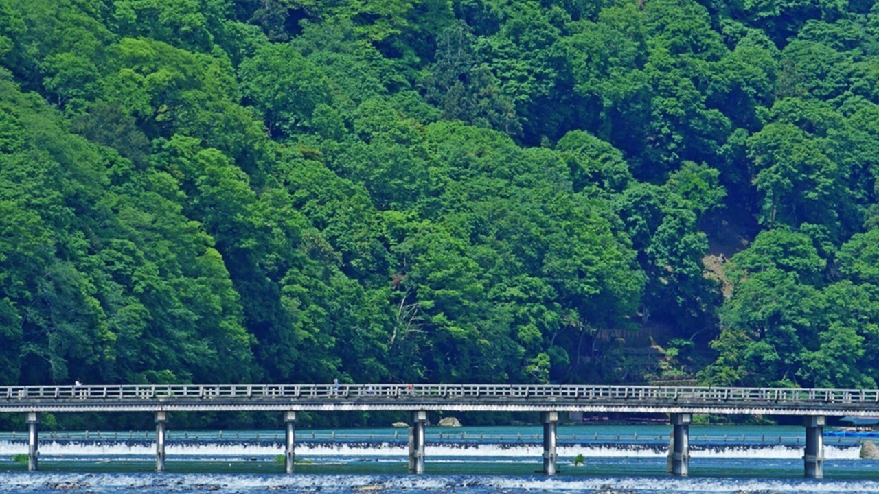 Photo of Outdoor in Arashiyama