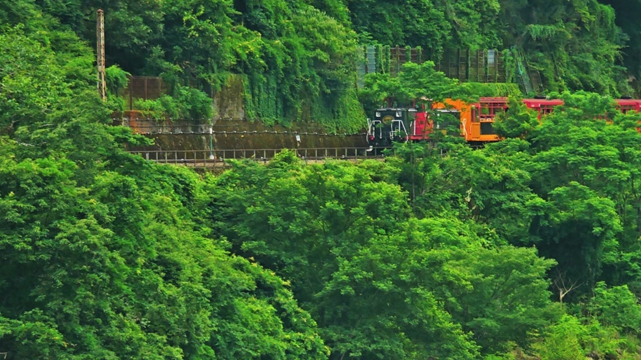 Photo of Outdoor in Arashiyama
