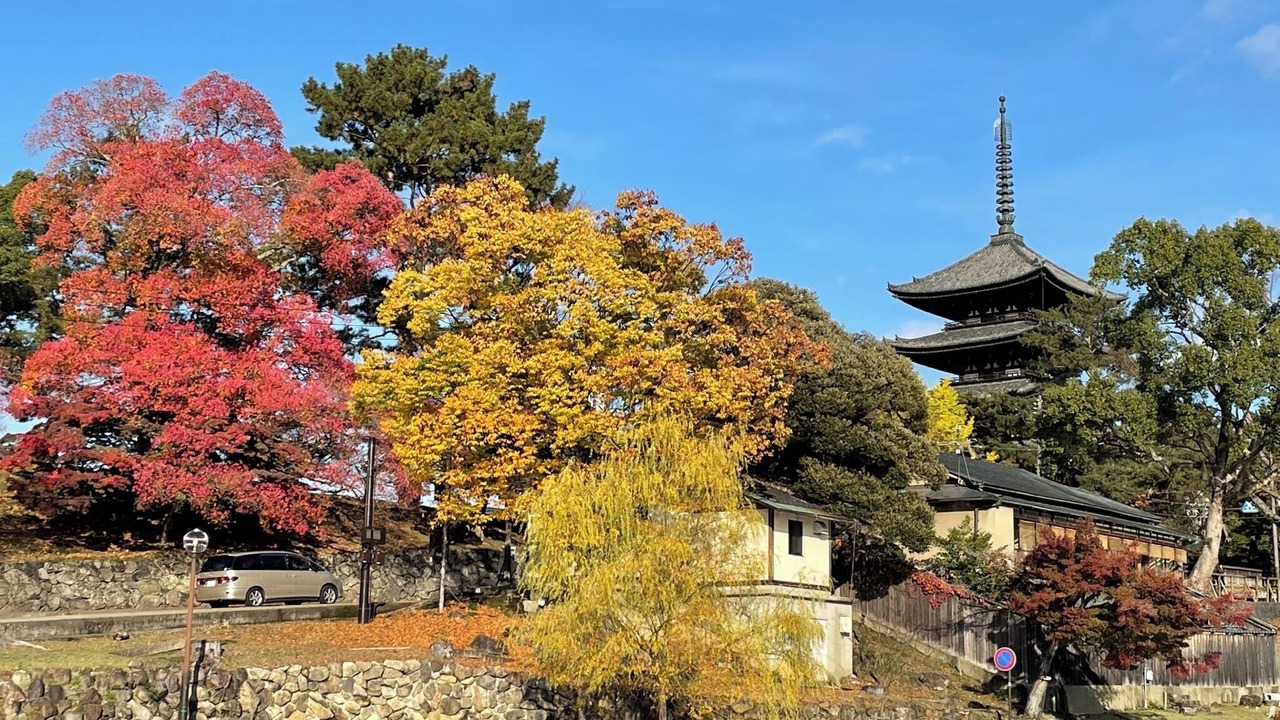 Photo of Others in Nara