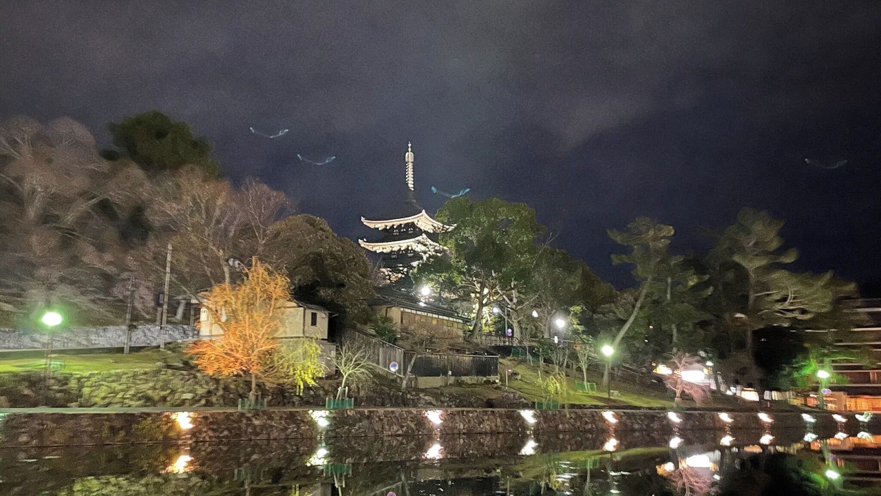 Photo of Outdoor in Nara