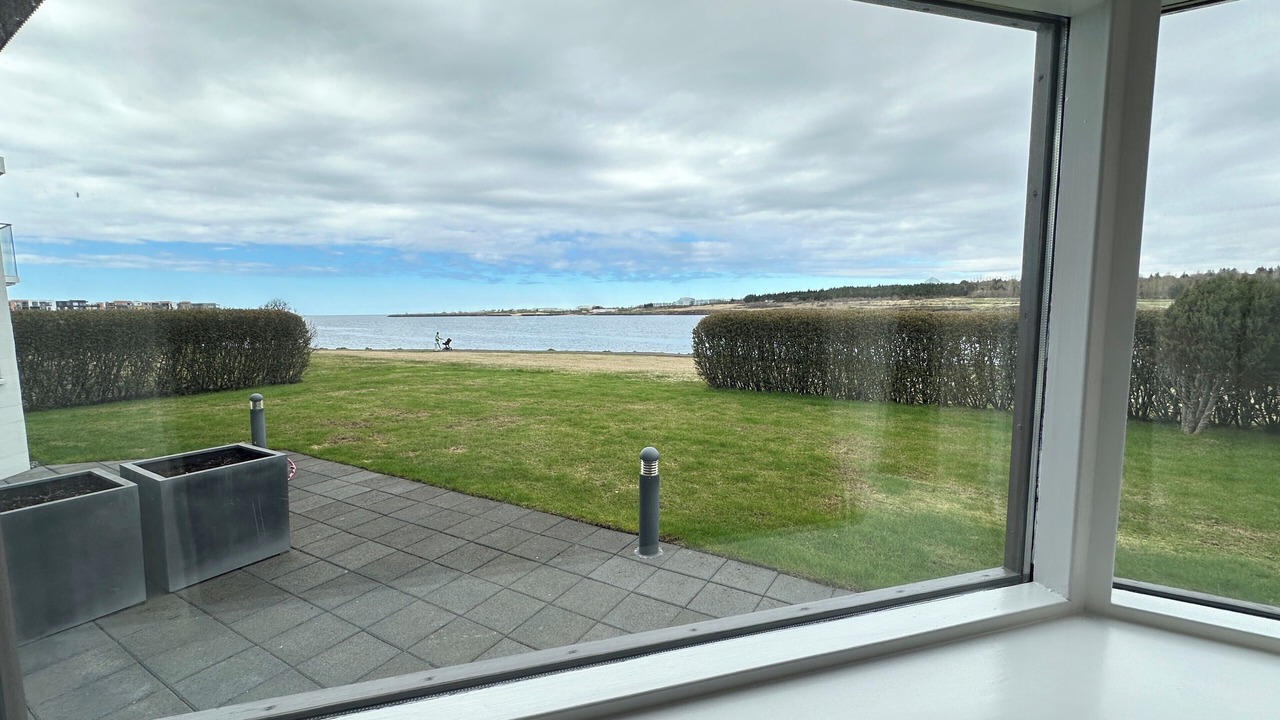 Photo of Others in Reykjavik