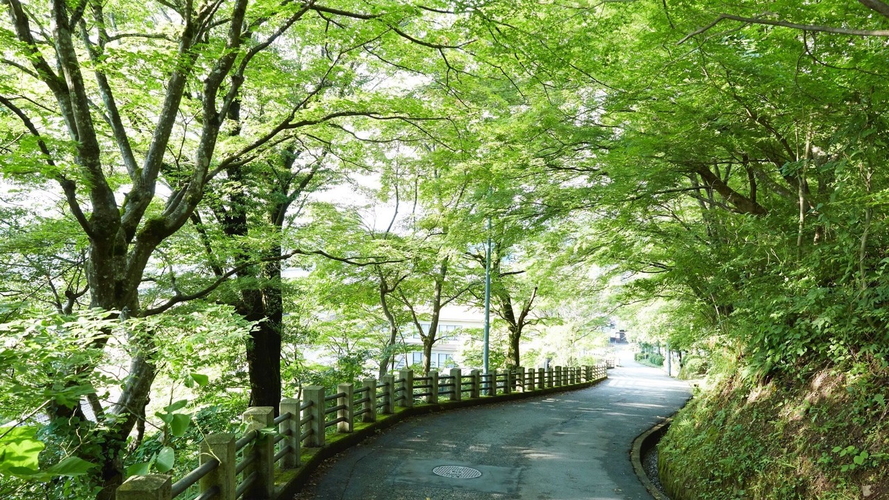 Photo of Outdoor in Hida Takayama Onsen
