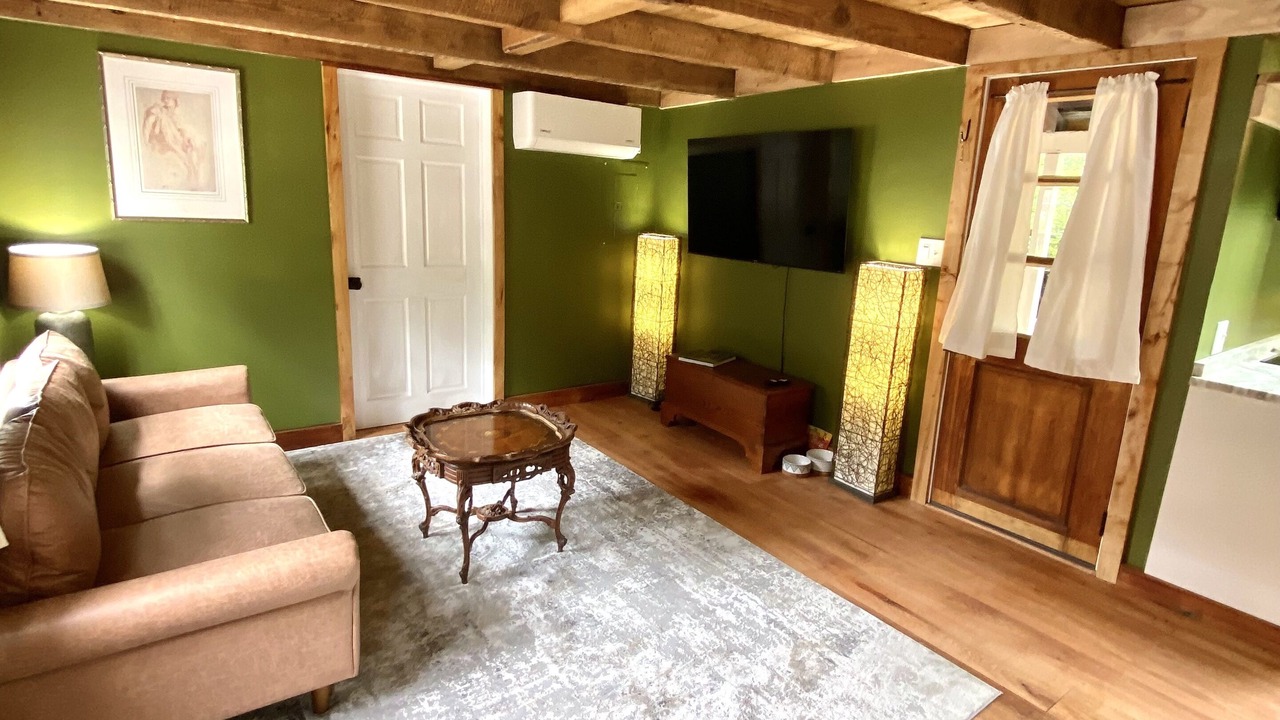 Photo of Livingroom in Leesburg's Old and Historic District