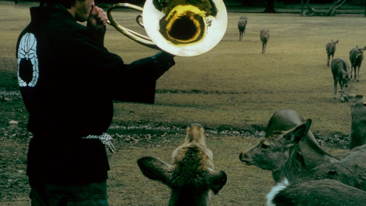Photo of Others in Nara