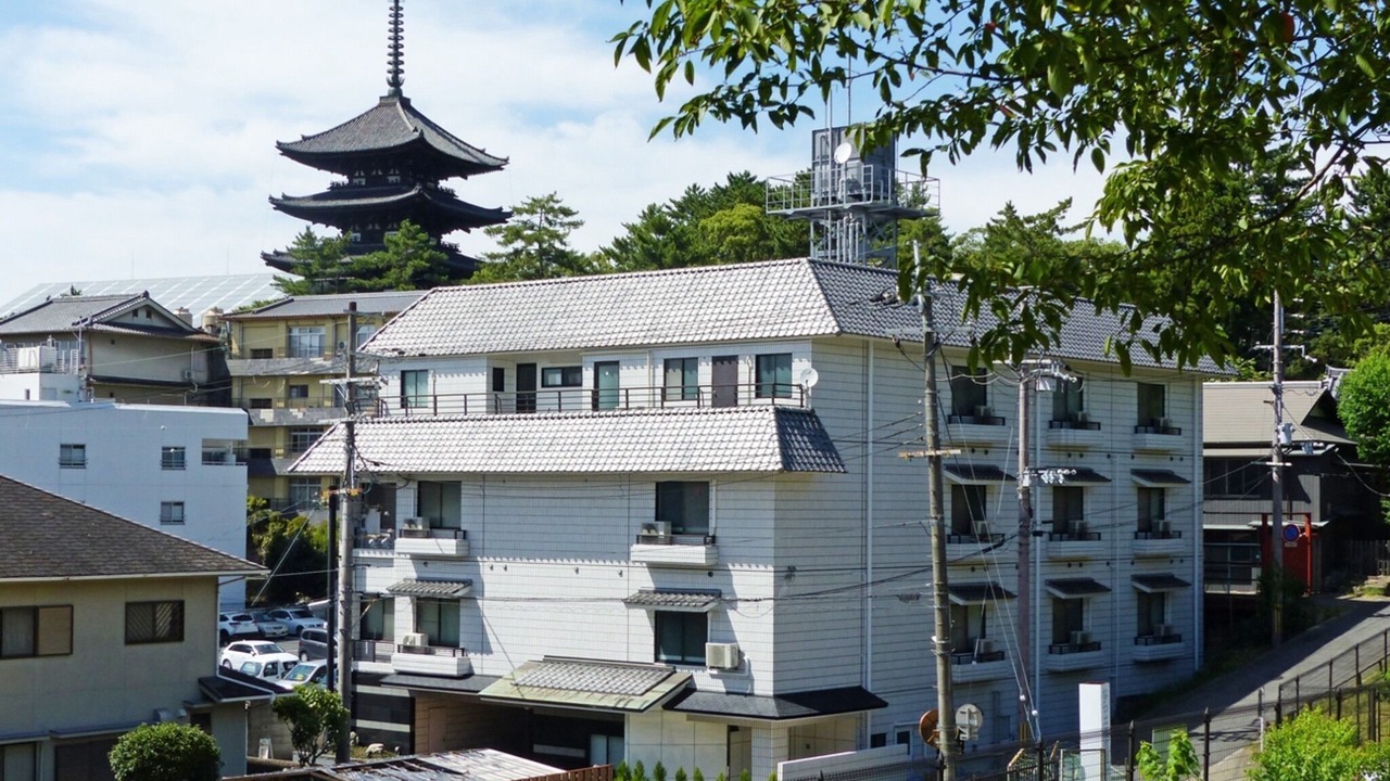 Photo of Outdoor in Nara