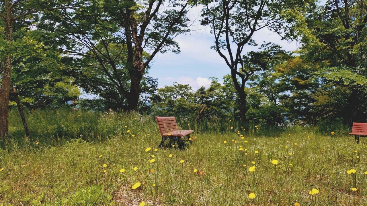 Photo of Outdoor in Toyooka