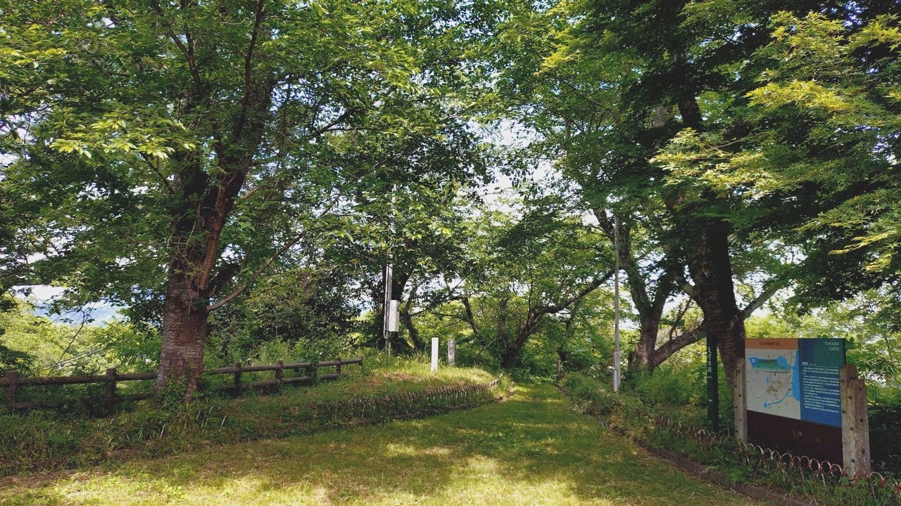 Photo of Others in Toyooka