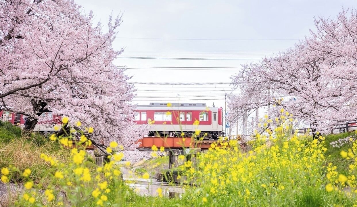 Photo of Others in Yamatotakada