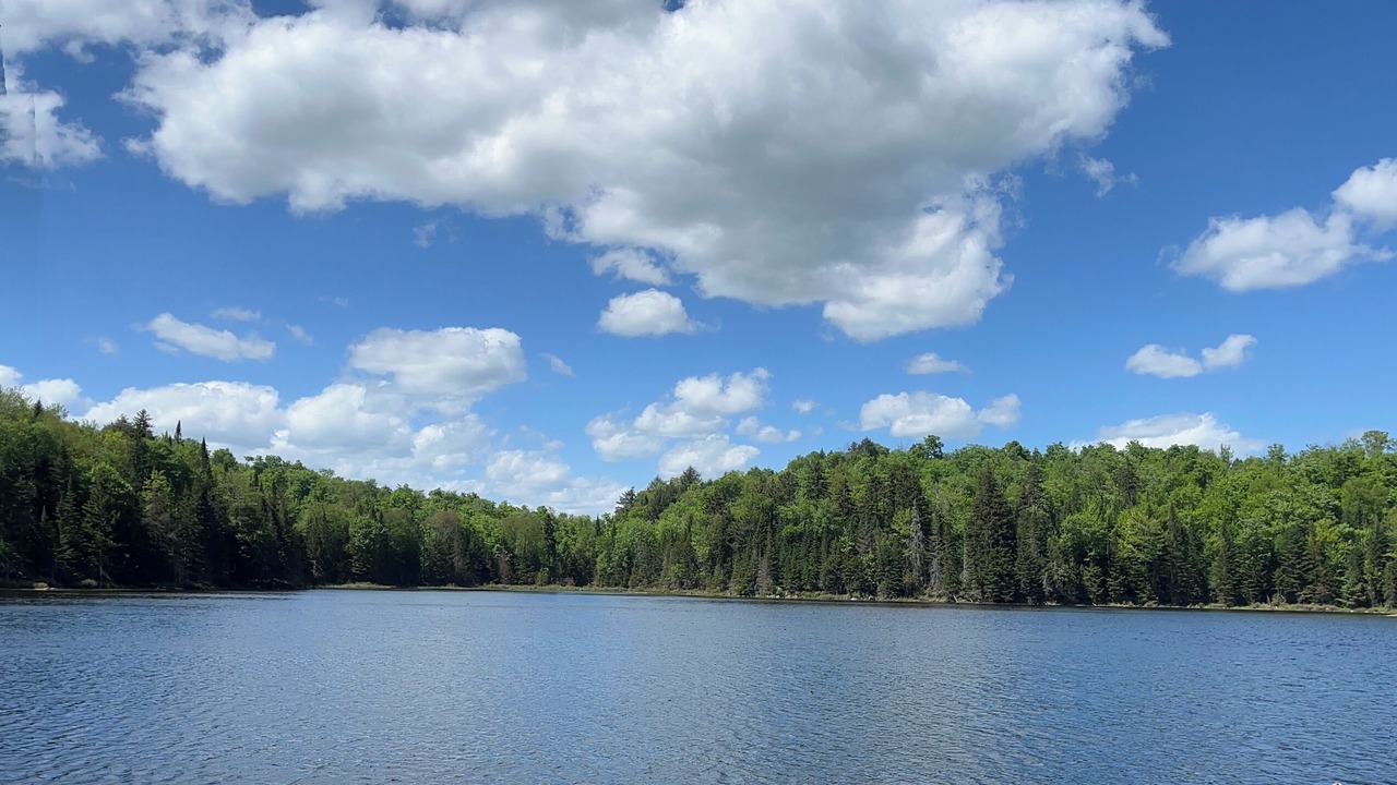 Photo of Others in Wentworth-Nord