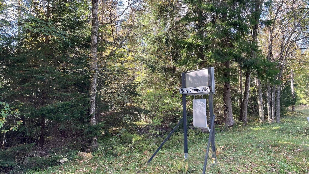 Photo of Others in Sorbo