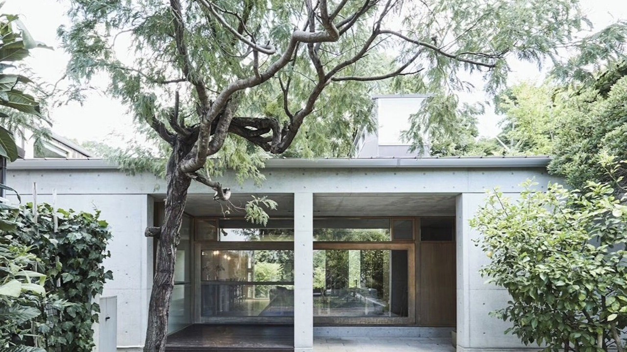 Photo of Outdoor in Nara