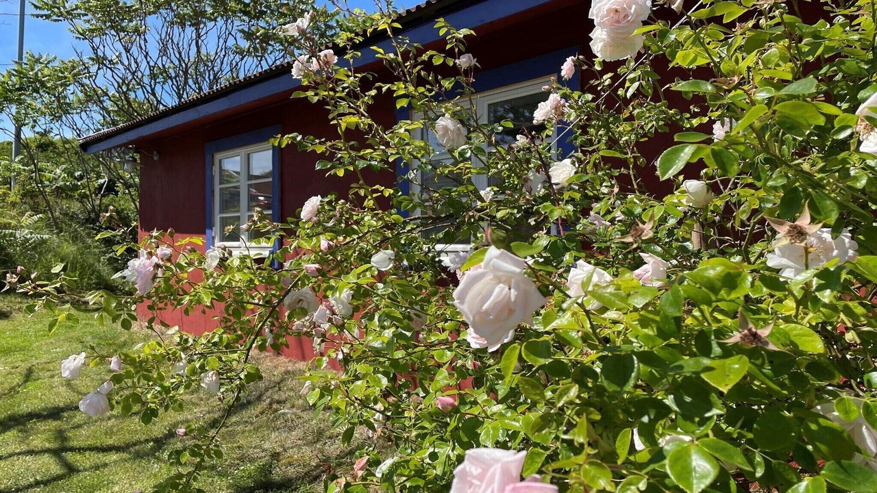 Photo of Outdoor in Skaerhamn