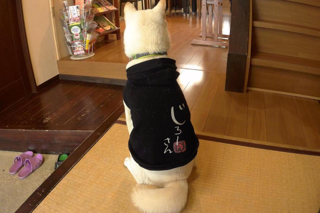 Photo of Others in Okazaki