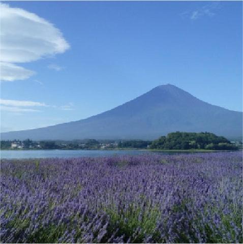 Photo of Others in Fujiyoshida
