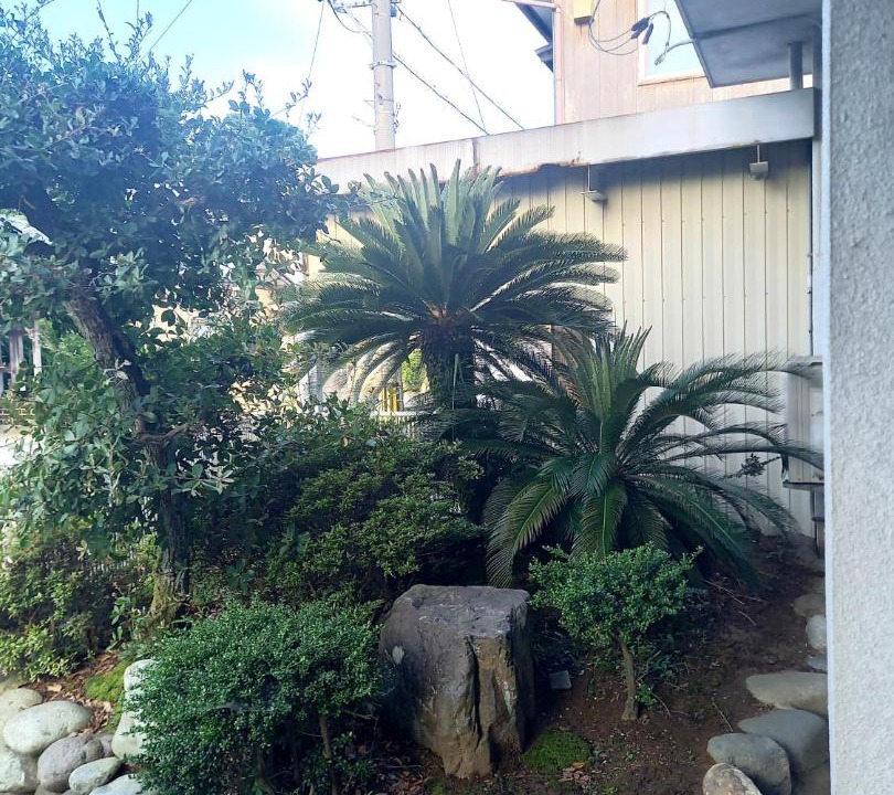 Photo of Others in Sakai