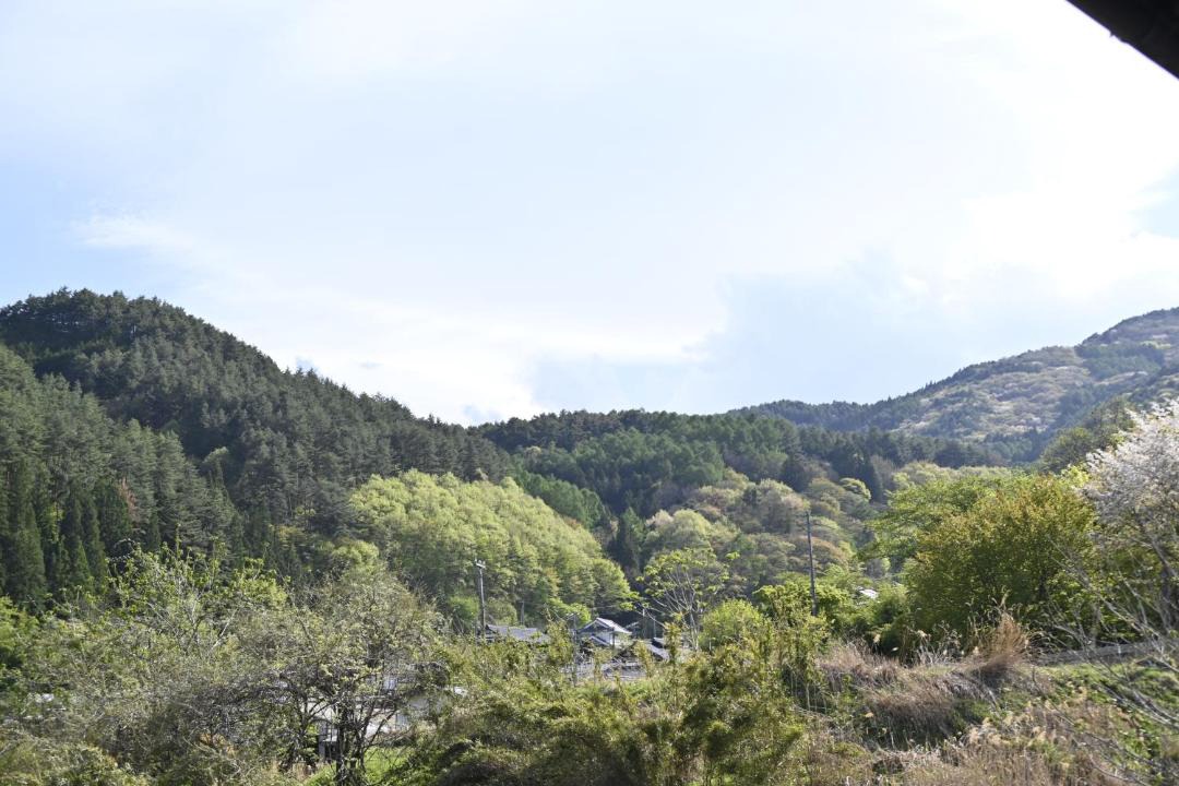 Photo of Others in Aoki