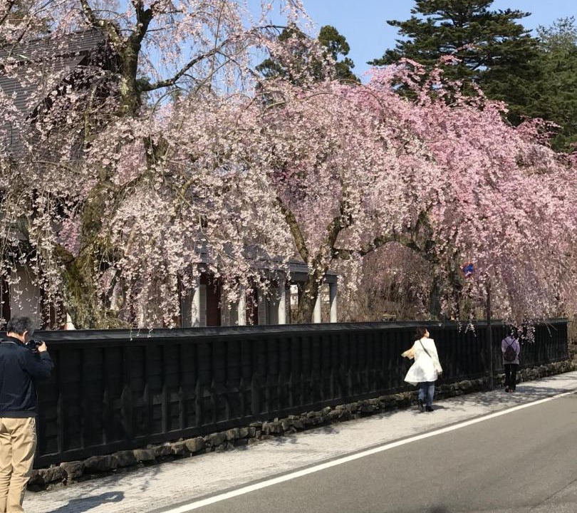 Photo of Others in Samurai District