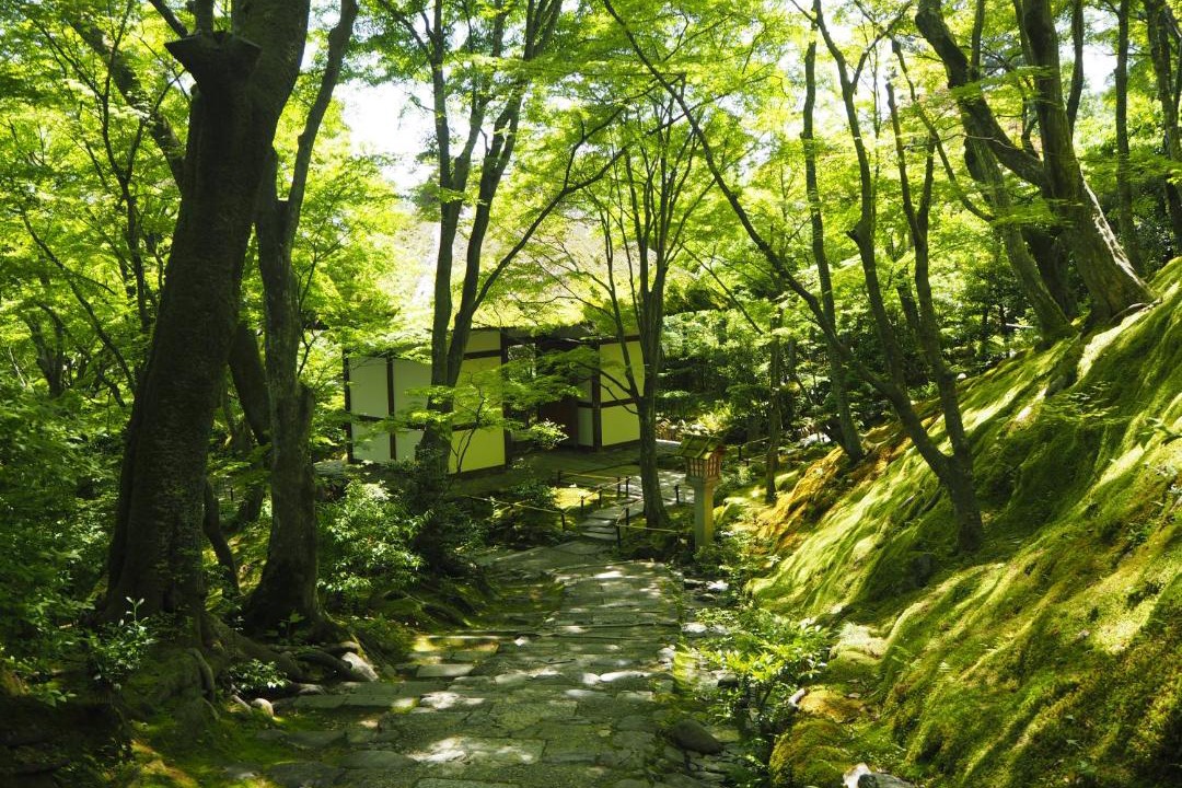 Photo of Others in Arashiyama