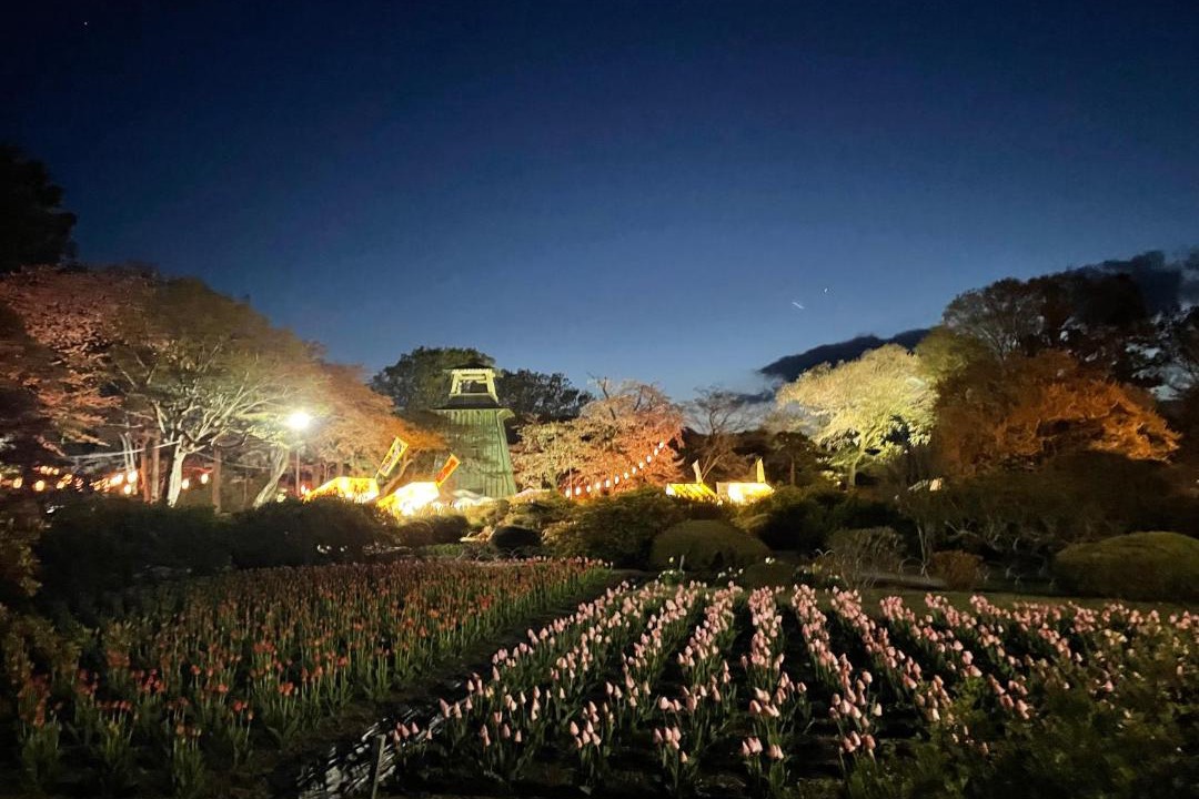 Photo of Others in Numata