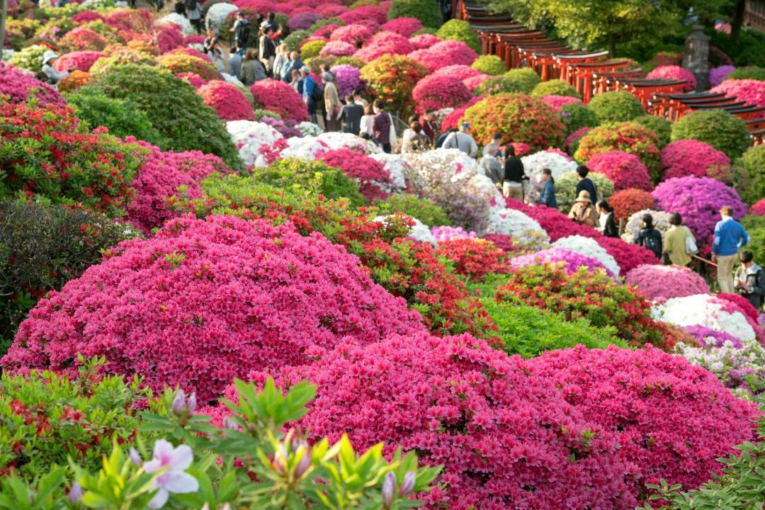 Photo of Others in Ebisu