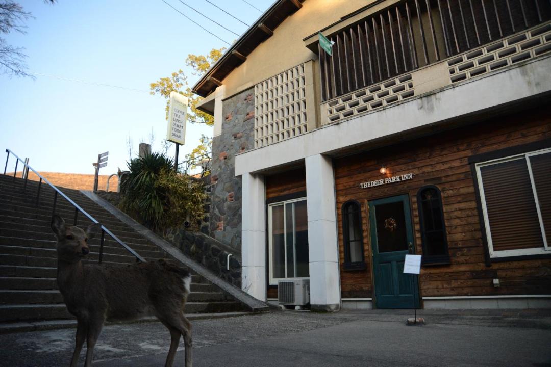 Photo of Others in Nara
