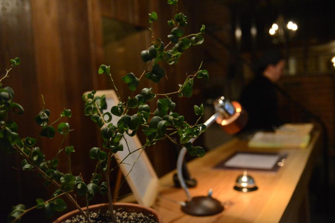 Photo of Others in Nara