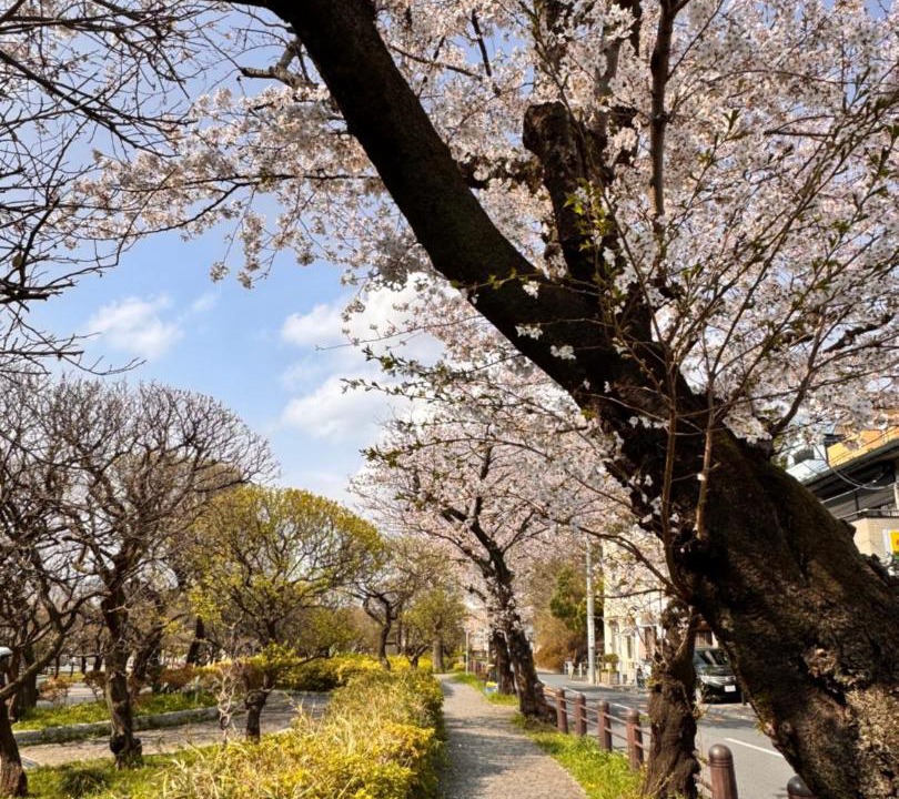 Photo of Others in Itabashi