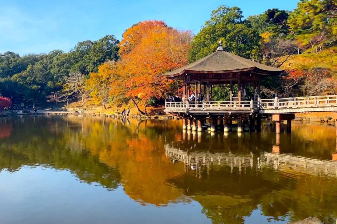 Photo of Others in Nara