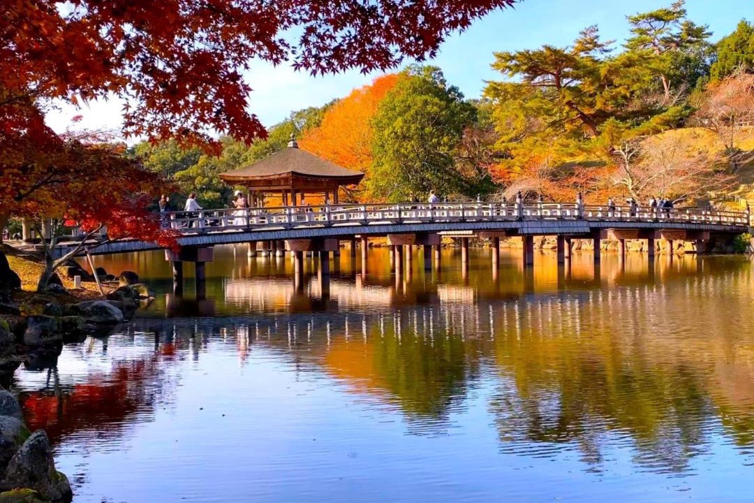 Photo of Others in Nara