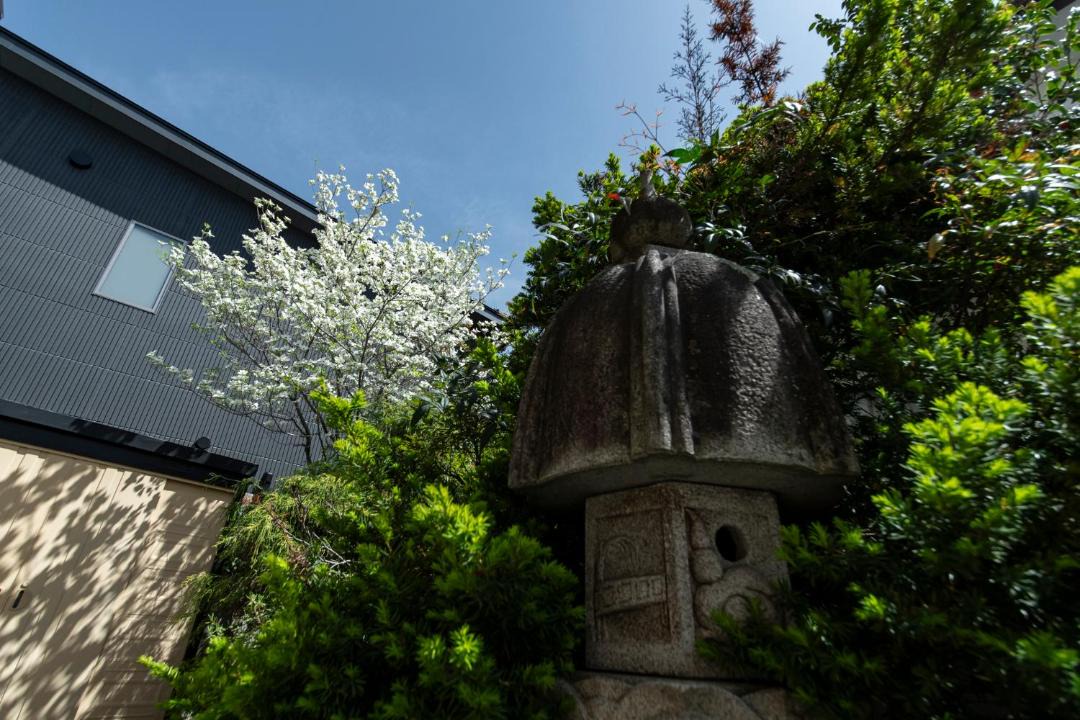 Photo of Others in Nagano