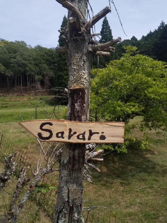 Photo of Others in Tabuchi