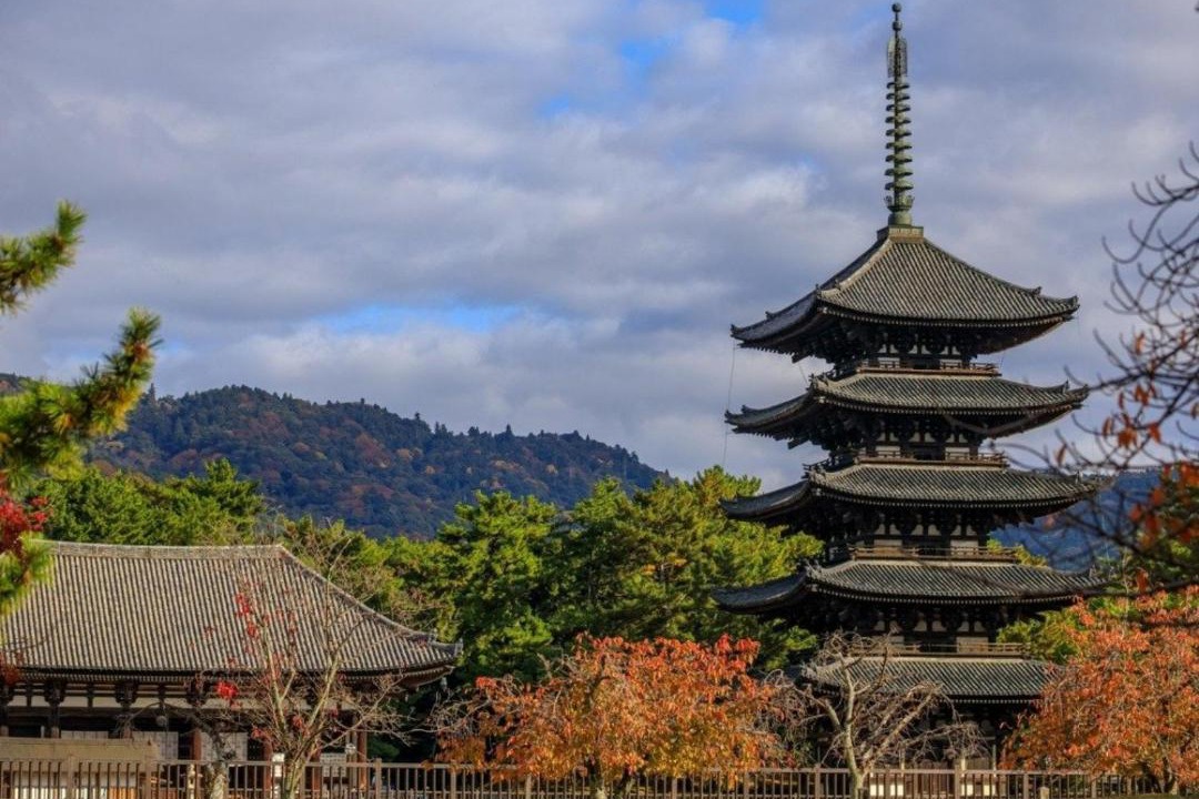 Photo of Others in Nara