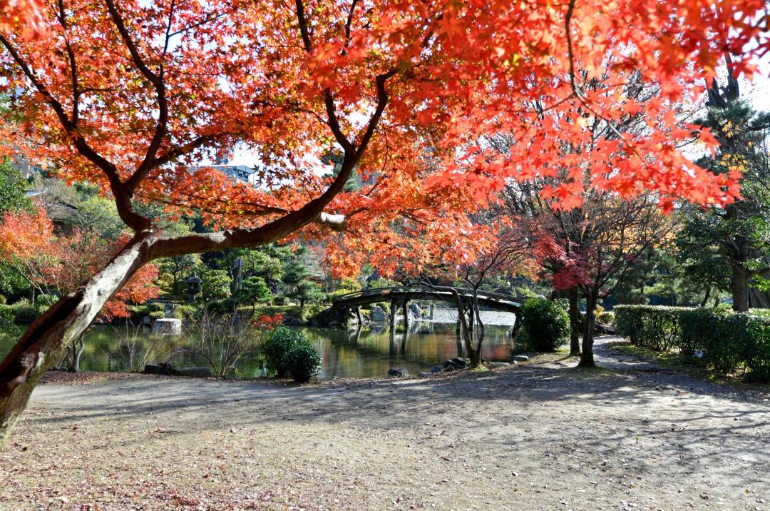 Photo of Others in Shimogyo