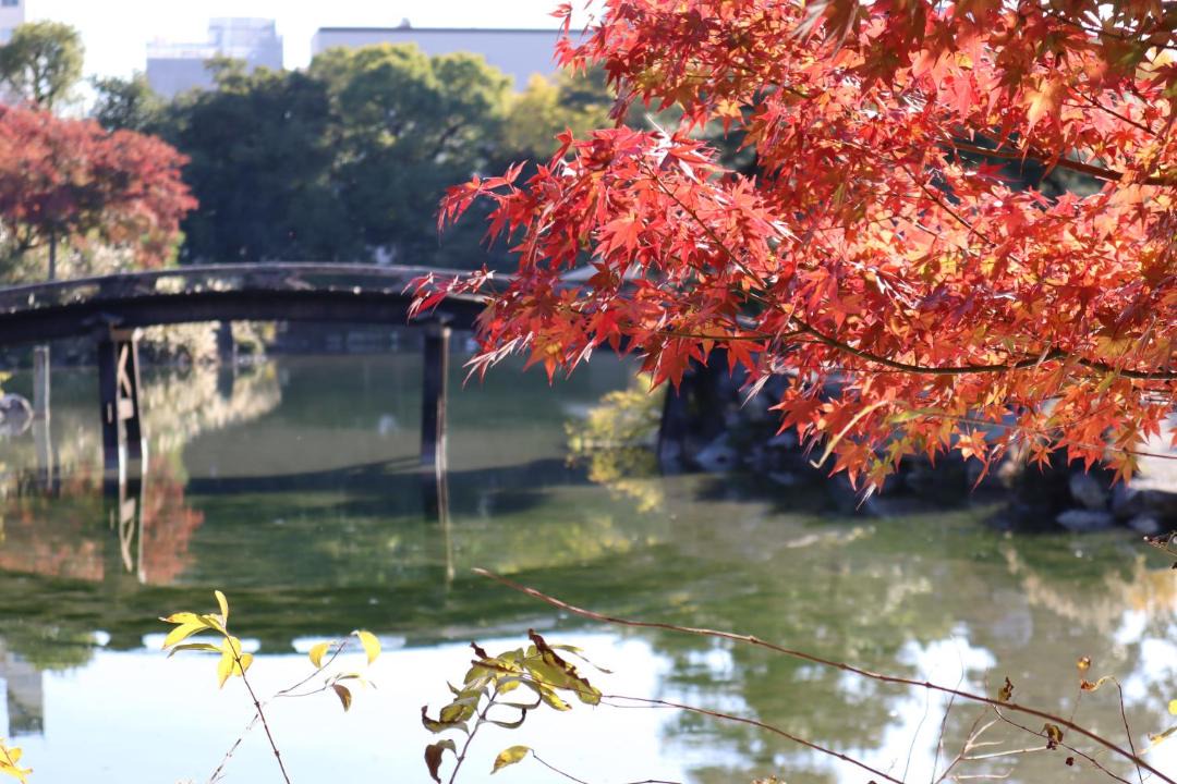 Photo of Others in Shimogyo