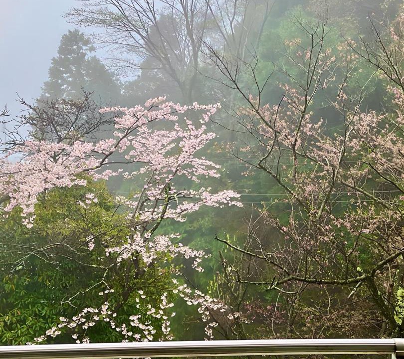Photo of Others in Atami