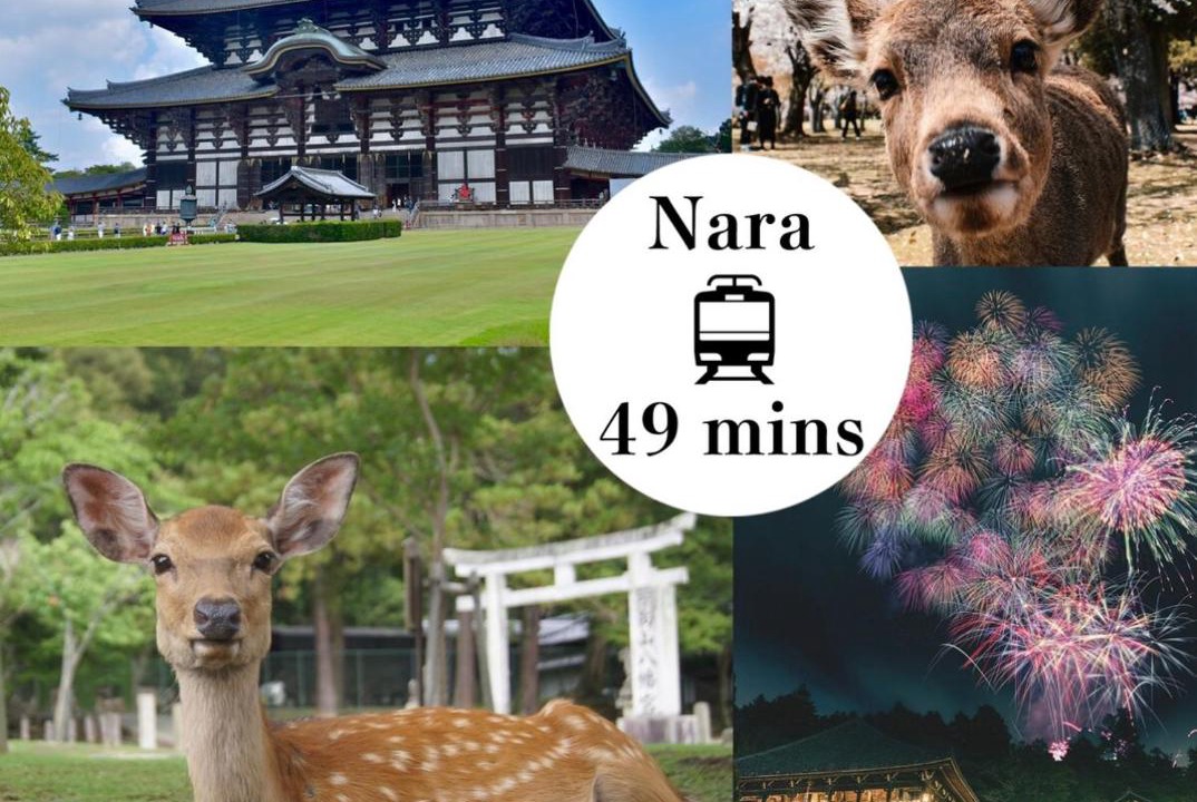 Photo of Others in Naniwa