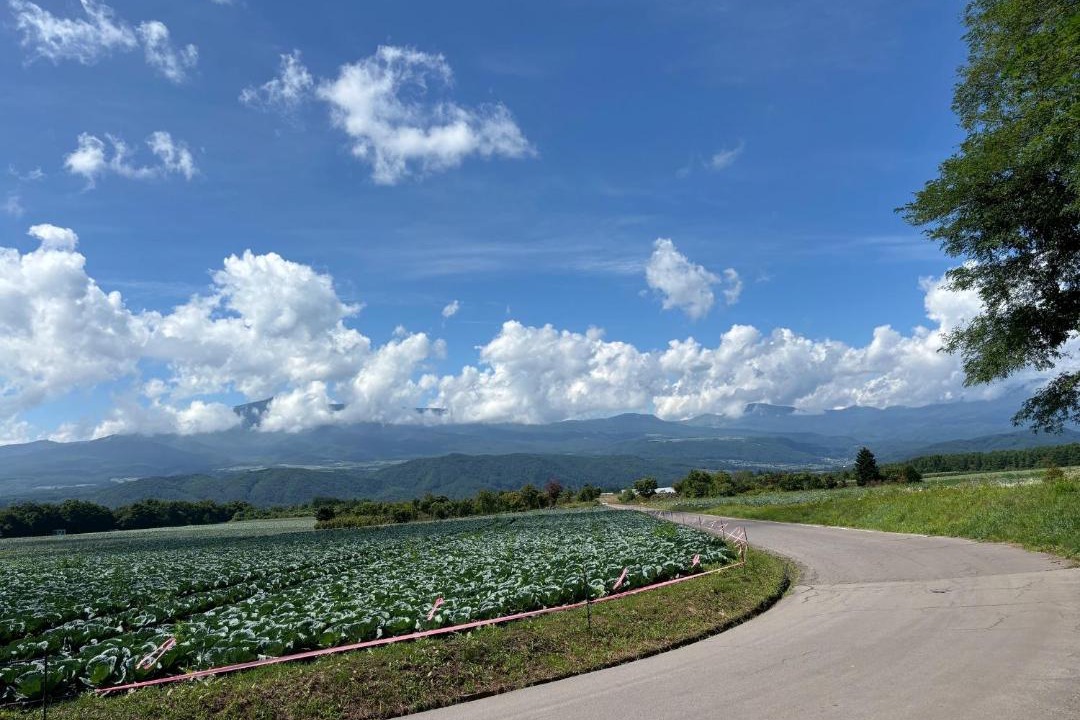 Photo of Outdoor in Tsumagoi