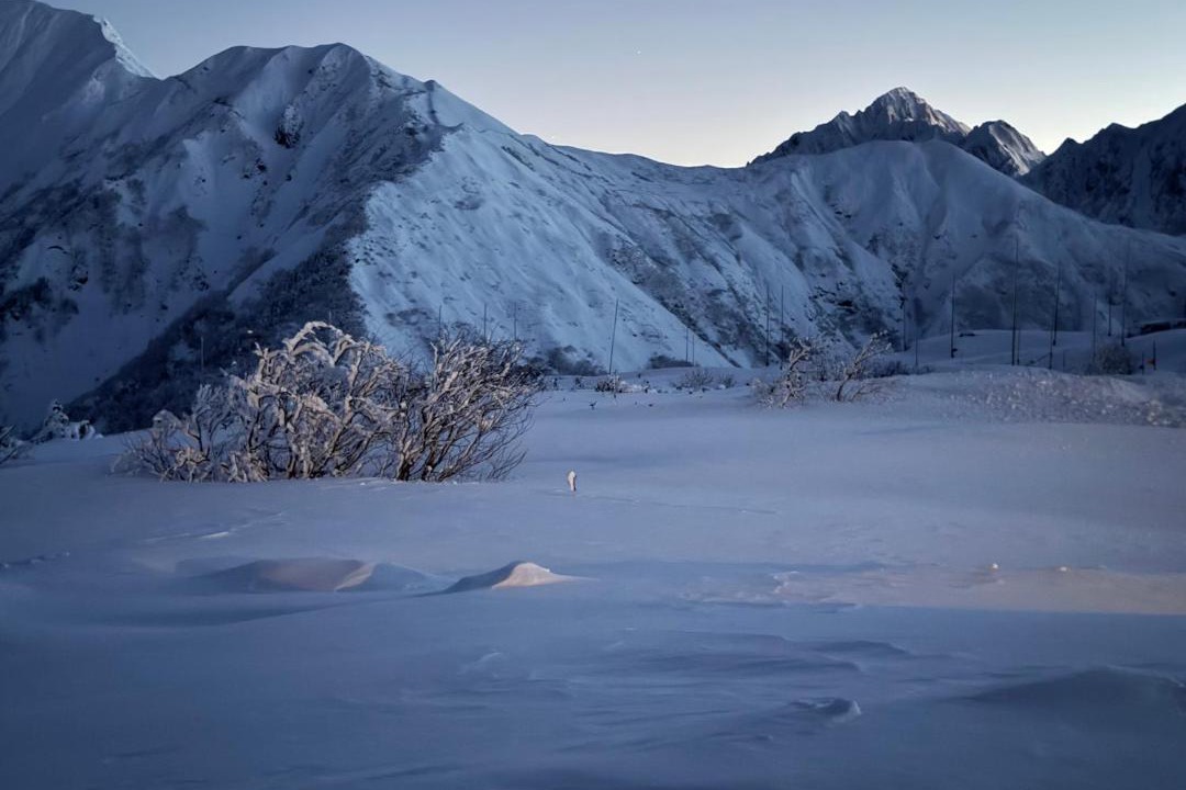 Photo of Others in Tateyama-machi
