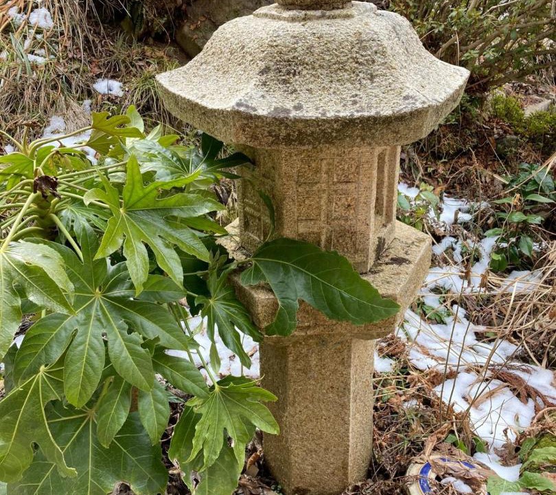 Photo of Others in Nagano