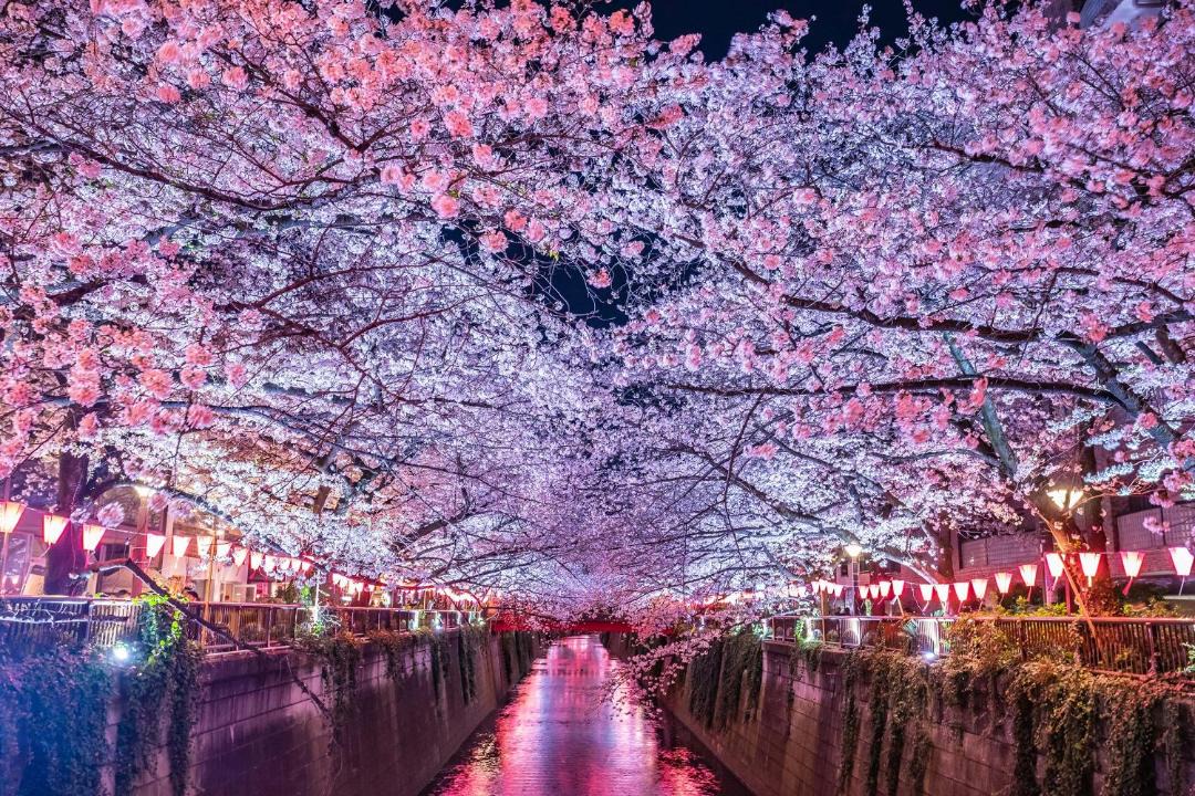 Photo of Others in Ebisu