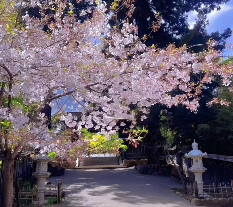 Photo of Others in Hakone