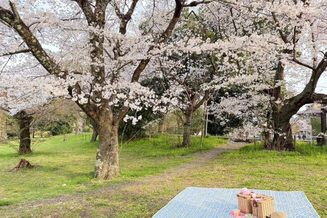 Photo of Others in Nishikyo